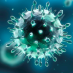 Coronavirus: the creation